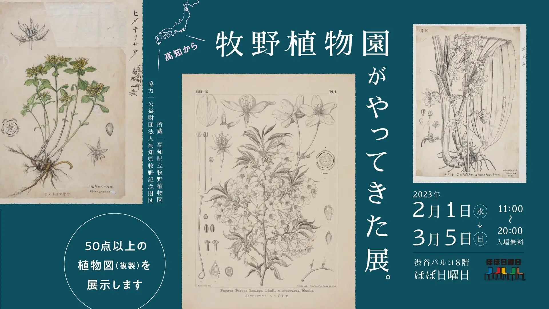 「牧野植物園がやってきた展。」を渋谷PARCOで開催します！